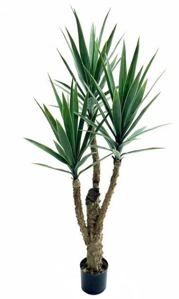 Umělá juka HIMBERGA, 150cm