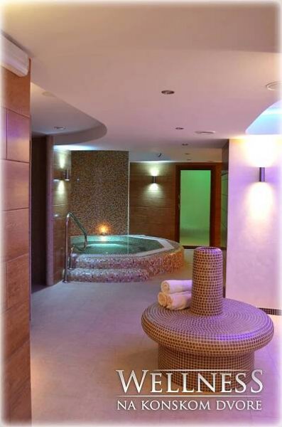 Wellness – Konský Dvor Brzotín