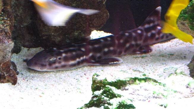 Aquatic Designs | Aquarium Maintenance | Grand Forks, ND