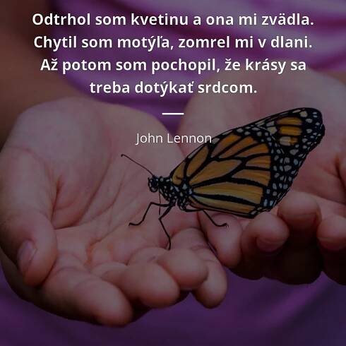 Odtrhol som kvetinu a ona mi zvädla. Chytil som motýľa,...