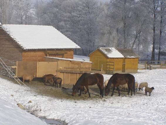 Penzion Příbram, Ubytování, Restaurace, Firemní večírky, Hostiny 