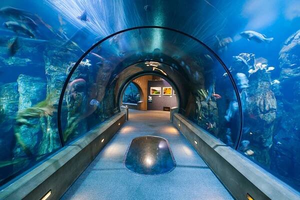 Home - Oregon Coast Aquarium