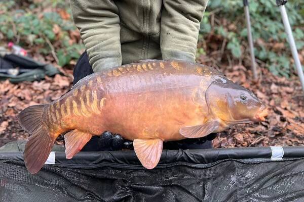 Gunnersbury Stocking February 2025 - Barnes & Mortlake Angling & Preservation Society