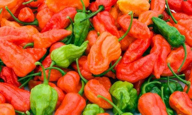 escala scoville chile más picante
