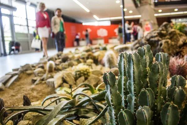 Fotogalerie: Začala jarní Flora: vydali jsme se na prohlídku - OLOMOUC.CZ
