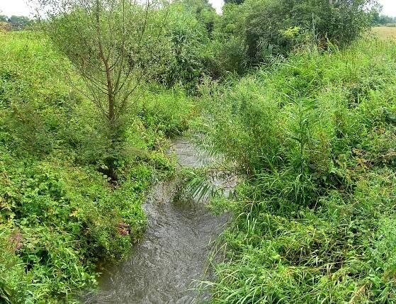 Soubor:Čertovka creek in Habrkovice.jpg