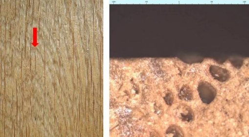 Obr. 3 vlevo A: Začínající poškození transparentního akrylátového nátěru na dubu vystaveného v exteriéru na místě výskytu otevřených cév (viz šipka). vpravo B: Zvětšení a zobrazení nerovností povrchu dubového dřeva pomocí konfokálního laserového scanovacího mikroskopu