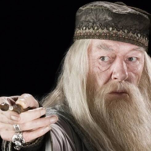 Kouzelník Brumbál z Harryho Pottera je gay, potvrdila jeho autorka Rowlingová