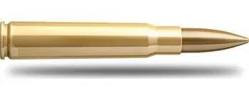 Sellier&Bellot SB 8x57 JS 2910 FMJ 12,7g