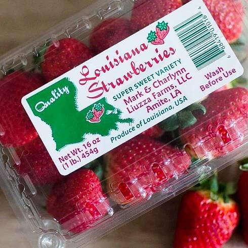Farmers — Ponchatoula Strawberry Festival | April 11-13, 2025