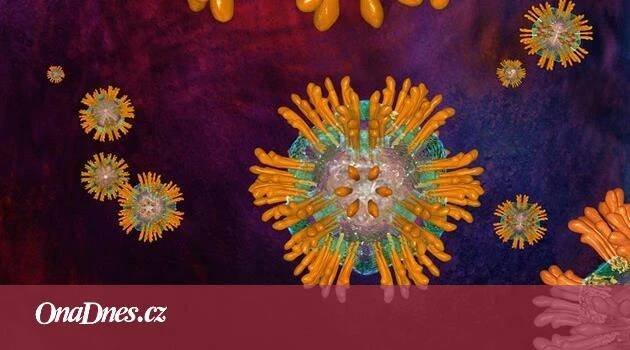 Žloutenka typu C je zákeřná, roky o ní nemusíte vědět - iDNES.cz