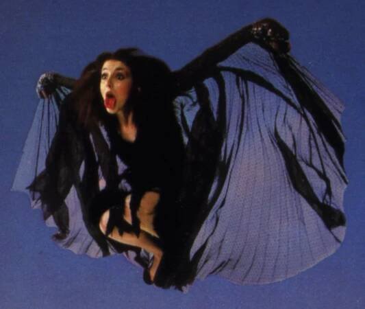 Gaffaweb - Kate Bush - WOW: The Images - Image Page Guide