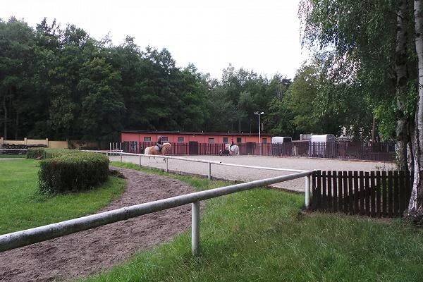 Jezdecký klub Merci, z.s. - koně, Kladno 