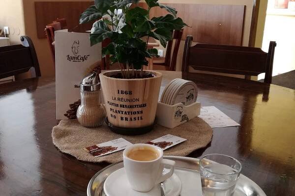 THE 10 BEST Cafés in Hradec Kralove (Updated 2025) - Tripadvisor