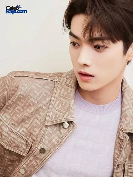 Xu Kai controversies