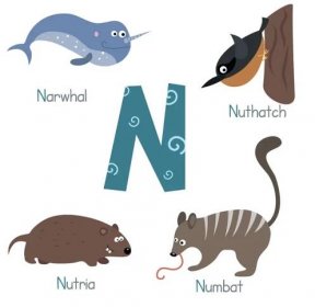 Roztomilý zoo abeceda — Ilustrace