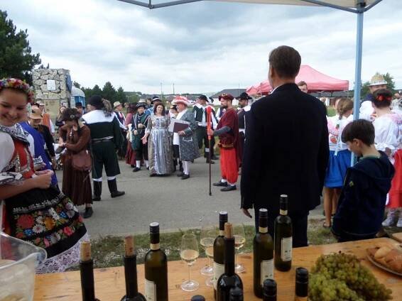 Vinobraní - Oficiální stránky obce Novosedly