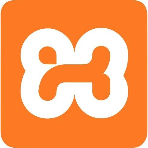 Sharing XAMPP from localhost - Pinggy