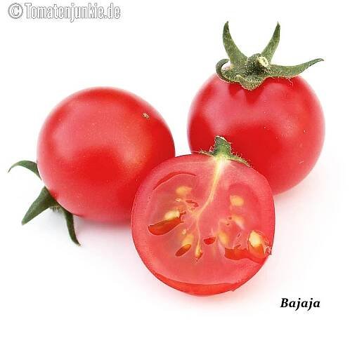 Tomatensorte Bajaja