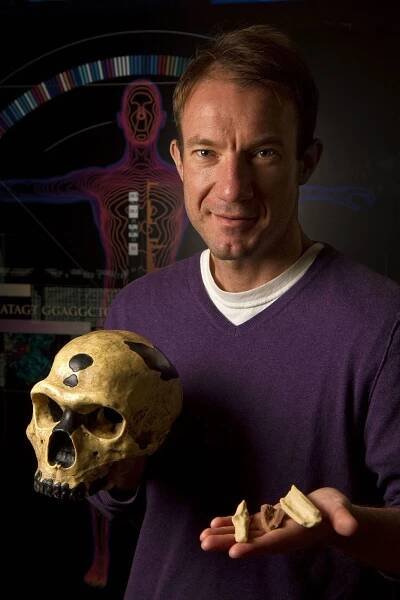 Neanderthal: genetic studies