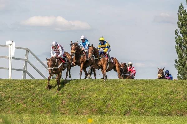 Dostihové závodiště Pardubice - sportovní zařízení - Východní-Čechy.info - oficiální turistický portál Pardubického kraje