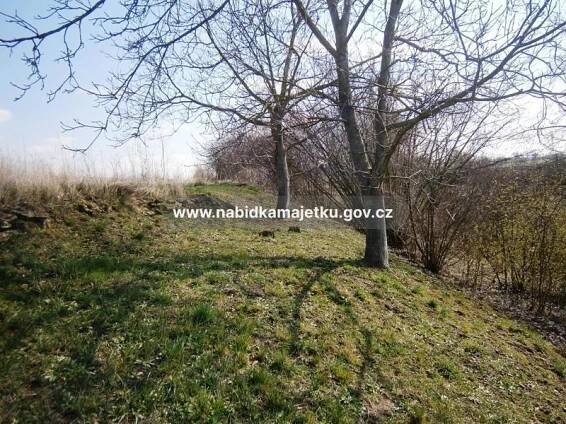 Prodej pozemku 283 m², Lesůňky