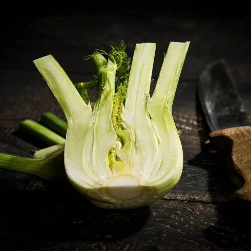 How to grow fennel