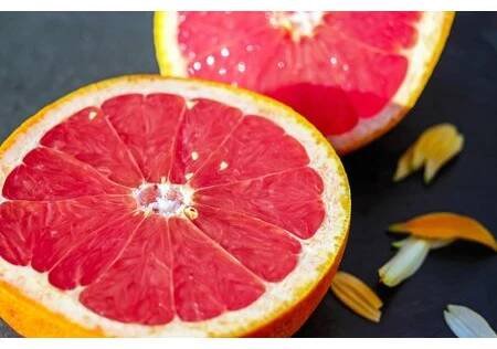 Grapefruit jádra tinktura
