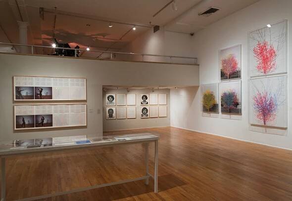 Charles Gaines: Gridwork 1974 – 1989, The Studio Museum in Harlem, New York, NY, 2014.