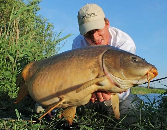 Carp on Fly - Dyckers