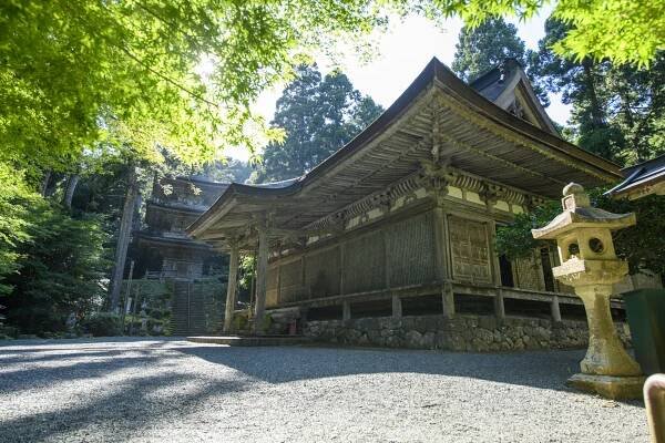 Wakasa Travel Guide: Uncover the Hidden Gems of Japan's Hokuriku Region