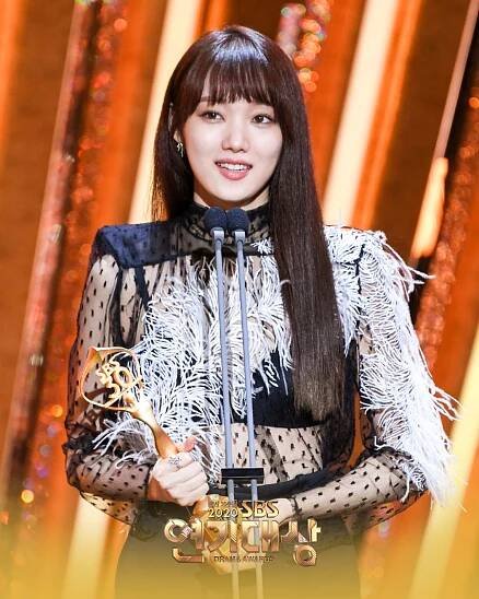 Výsledky 2020 SBS Drama Awards - Asianstyle