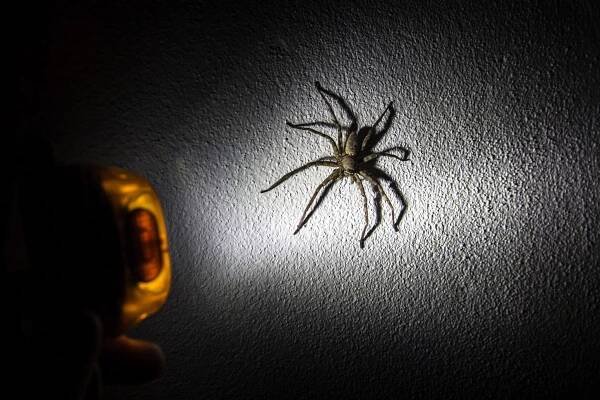 O odvaze a strachu. Jsou cestovatelé stateční nebo se jen bojíme zůstat doma?