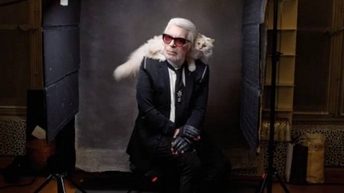 Po Lagerfeldovi může dědit i jeho kočka. Slavný návrhář ji krmil kaviárem servírovaným na stříbrném nádobí - Seznam Zprávy