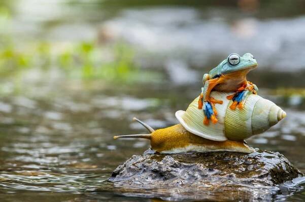 Taxi. Foto: Freepik
