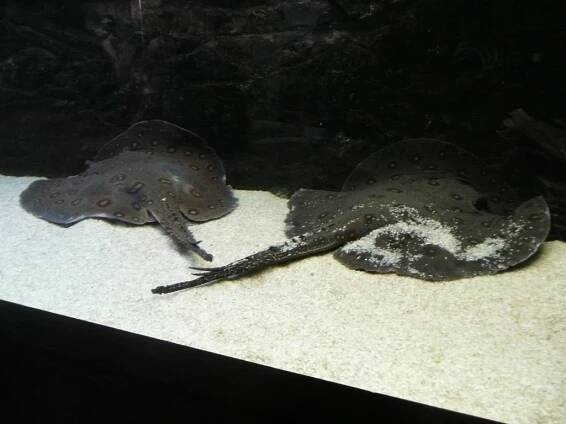 ZOO ÚSTÍ NAD LABEM