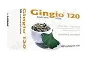 SALUTAS Gingio 120mg tbl.flm.60x120mg