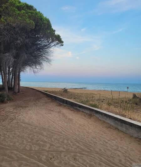 Appartamenti Eco Palace-Mare Bibione Spiaggia Itálie - CK Italieonline