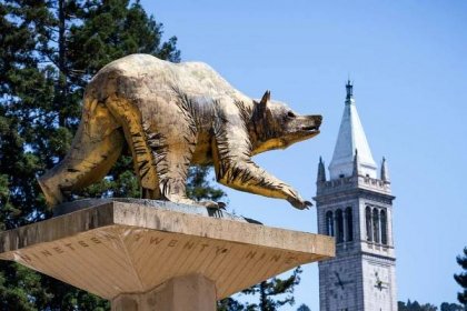 UC Berkeley Acceptance Rates [Updated 2020] - College Application Essays and Admissions Consulting