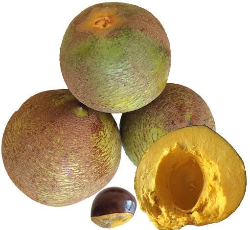 Soubor:Lúcuma.png – Wikipedie