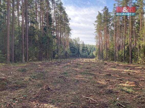 Prodej Pozemek, Újezdec, okres Jindřichův Hradec