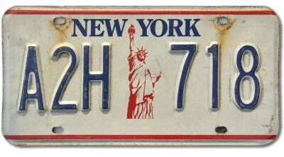 Americká SPZ New York Liberty A2H 719