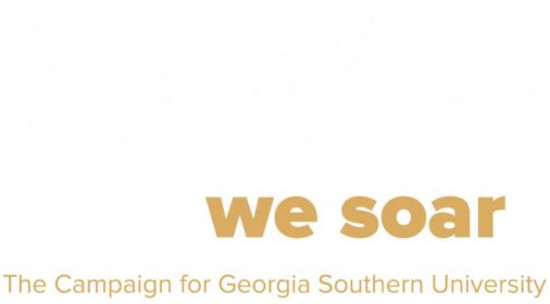 together we soar the campaign for georgia southern university