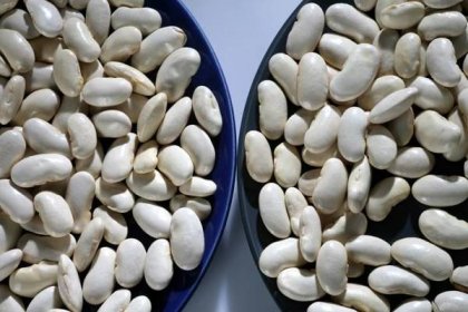 Inspektoři našli v Kauflandu zkažené čínské fazole