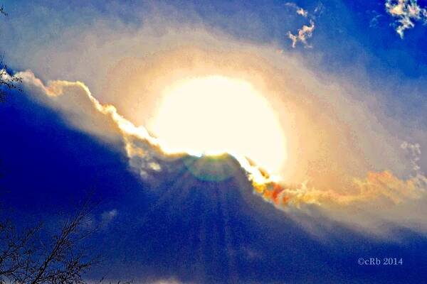 Sunlight Year End