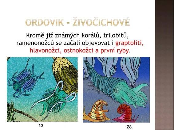 PPT - HISTORIE ZEMĚ 2 - PRVOHORY PowerPoint Presentation, free download - ID:3287607