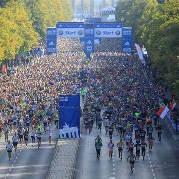 Marathon, Crowd, People, Long-distance running, Running, Recreation, Athletics, Half marathon, Exercise, Tree, 