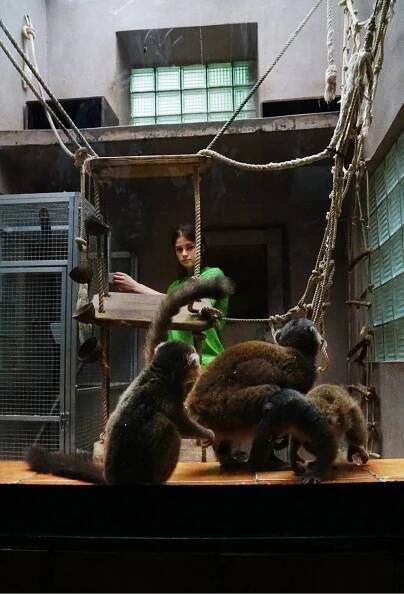 V Zoo Olomouc je k vidění unikátní výstava s názvem Zpověď tichých hrdinů. Vezme vás do zákulisí zoo - OLOMOUC.CZ
