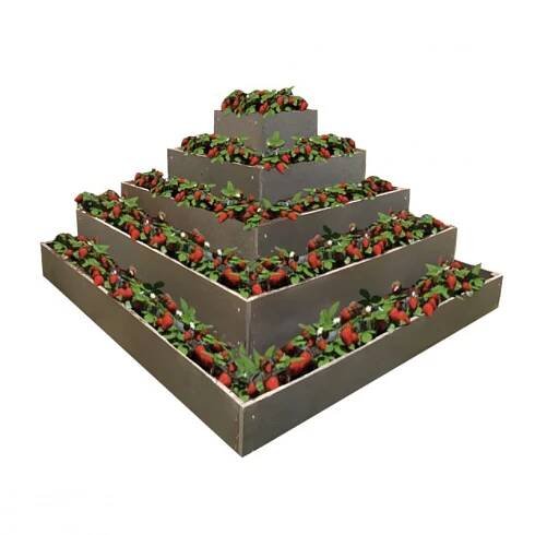 pyramida na jahody - Eshop