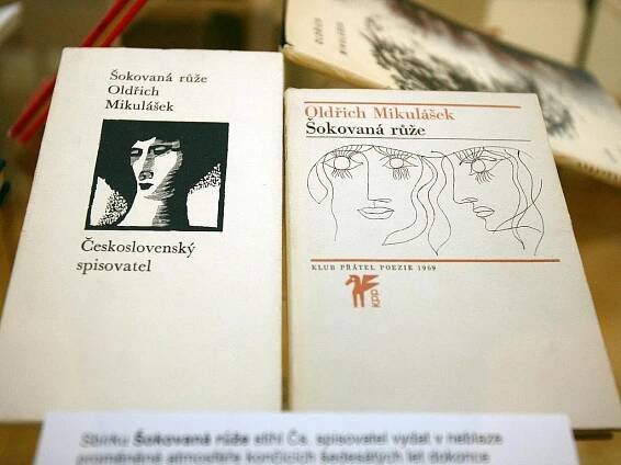 S kým si dopisoval Oldřich Mikulášek? S Halasem i Neffem